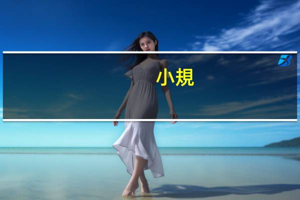 小規(guī)模所得稅稅率