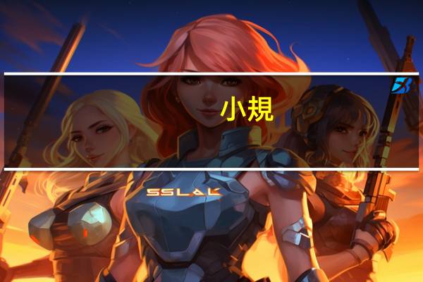 小規(guī)模所得稅稅率