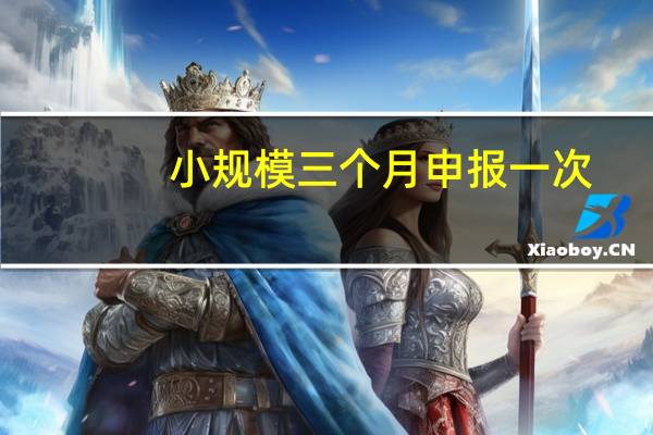 小规模三个月申报一次