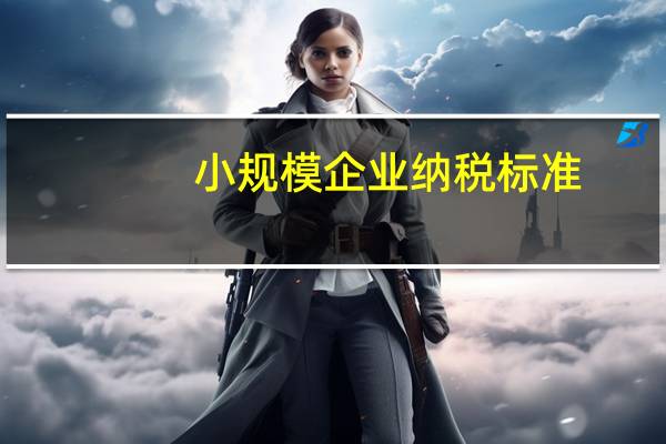 小规模企业纳税标准