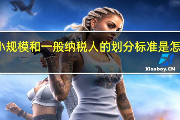 小规模和一般纳税人的划分标准是怎么样的