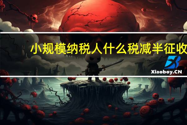 小规模纳税人什么税减半征收