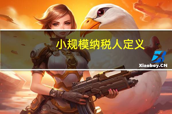 小规模纳税人定义