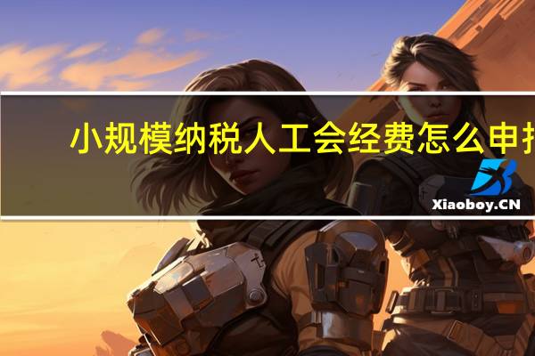 小规模纳税人工会经费怎么申报
