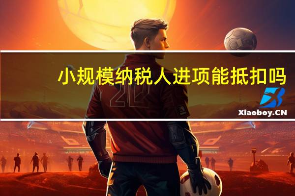 小规模纳税人进项能抵扣吗