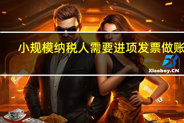 小规模纳税人需要进项发票做账吗
