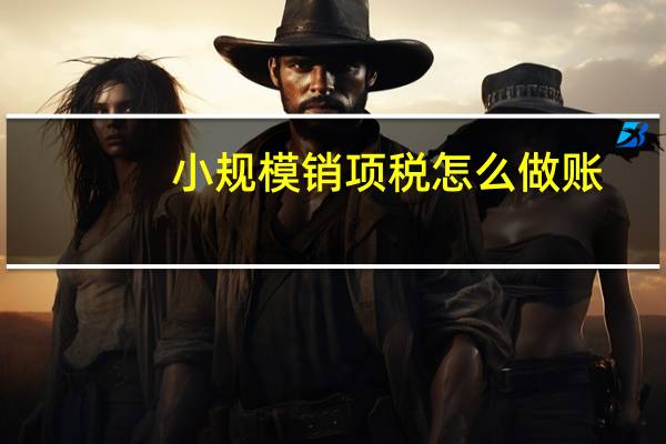小规模销项税怎么做账