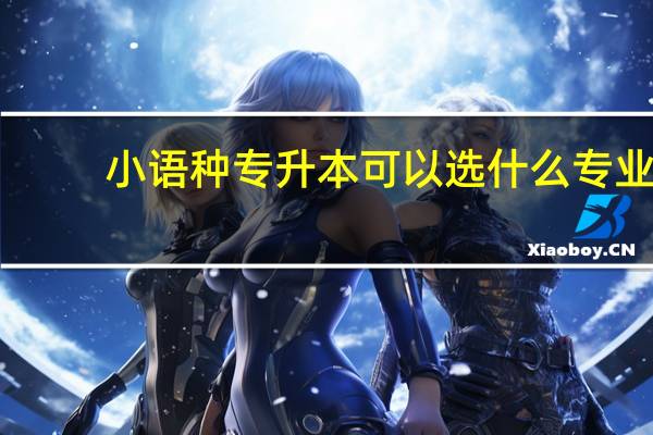 小语种专升本可以选什么专业