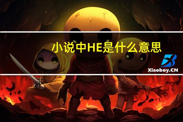 小说中HE是什么意思