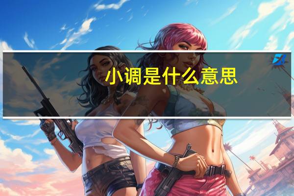 小调是什么意思