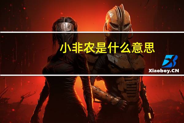 小非农是什么意思