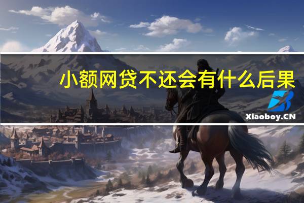小额网贷不还会有什么后果