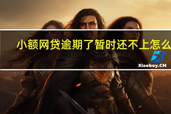 小额网贷逾期了暂时还不上怎么办