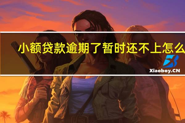 小额贷款逾期了暂时还不上怎么办
