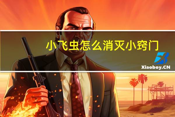 小飞虫怎么消灭小窍门