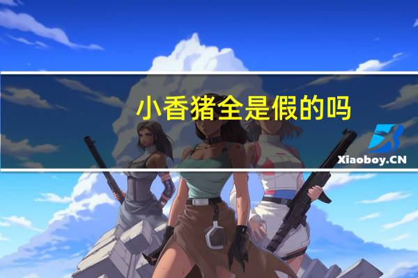 小香猪全是假的吗