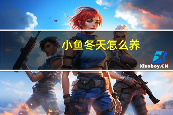小鱼冬天怎么养