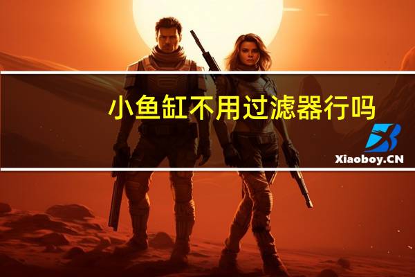 小鱼缸不用过滤器行吗