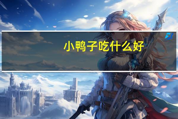 小鸭子吃什么好