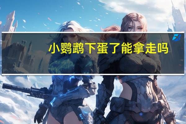 小鹦鹉下蛋了能拿走吗