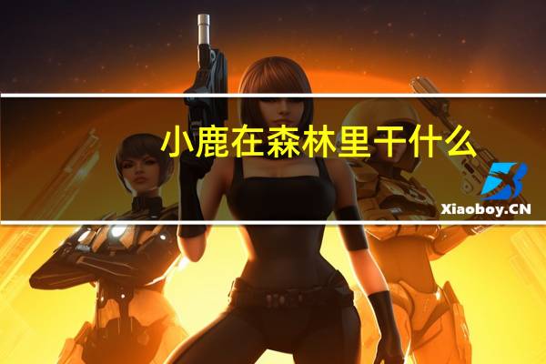 小鹿在森林里干什么
