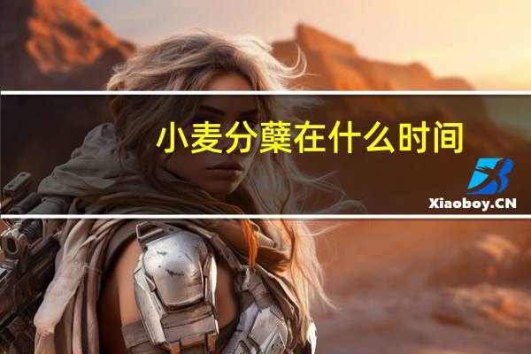 小麦分蘖在什么时间