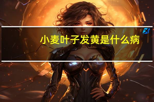 小麦叶子发黄是什么病