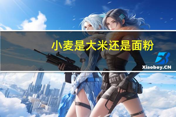 小麦是大米还是面粉