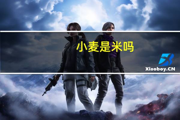 小麦是米吗