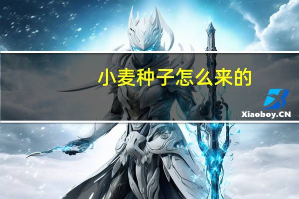 小麦种子怎么来的