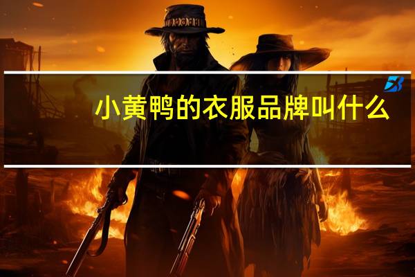 小黄鸭的衣服品牌叫什么