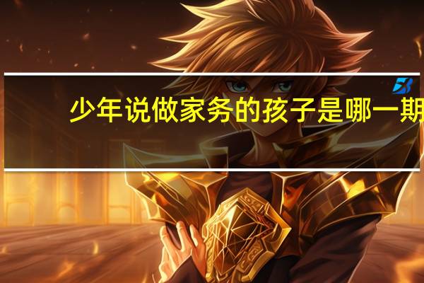 少年说做家务的孩子是哪一期