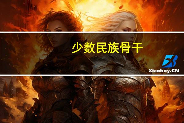 少数民族骨干