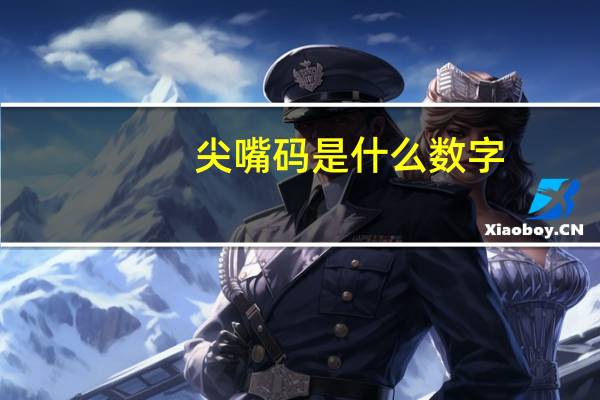 尖嘴码是什么数字