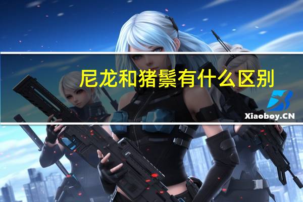 尼龙和猪鬃有什么区别