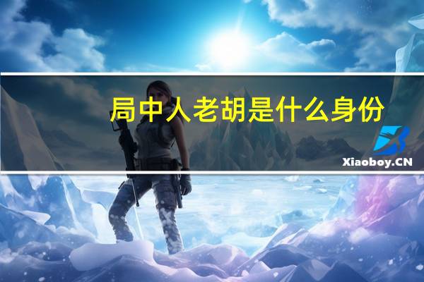 局中人老胡是什么身份