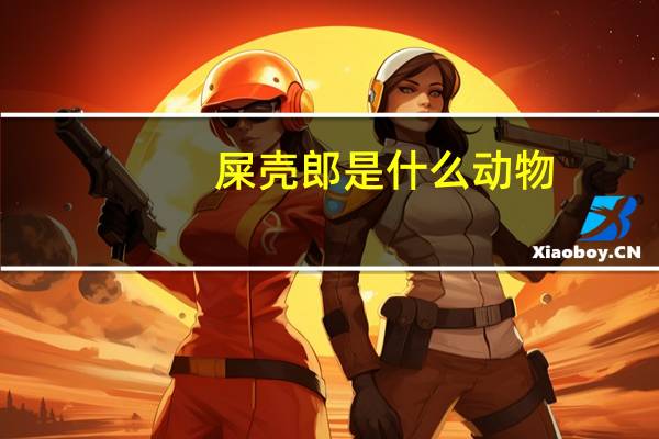 屎壳郎是什么动物