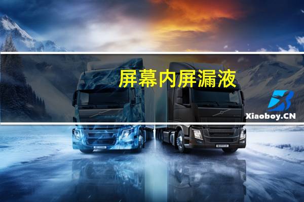 屏幕内屏漏液