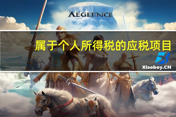 属于个人所得税的应税项目