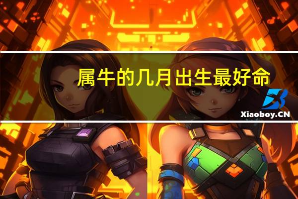 属牛的几月出生最好命
