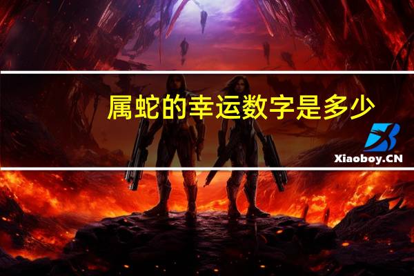 属蛇的幸运数字是多少