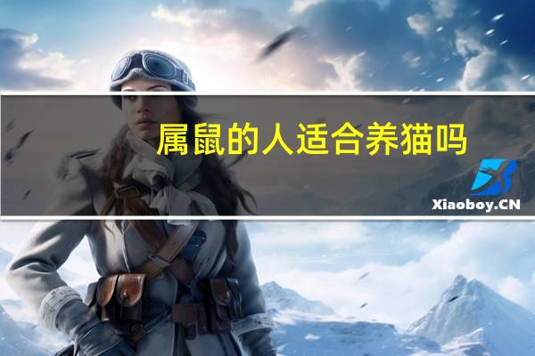 属鼠的人适合养猫吗