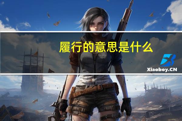履行的意思是什么
