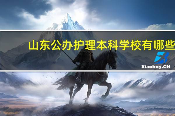 山东公办护理本科学校有哪些