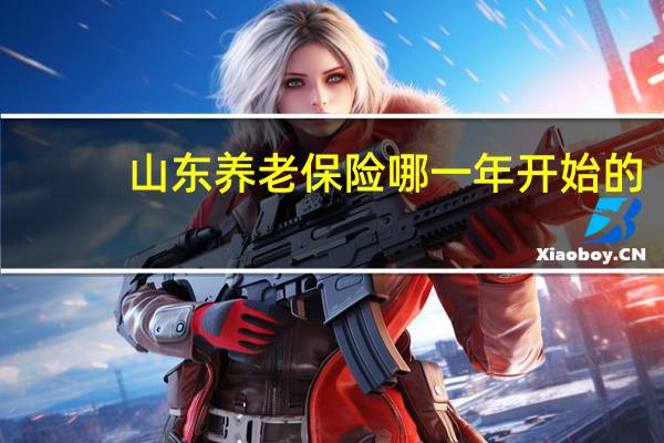 山东养老保险哪一年开始的