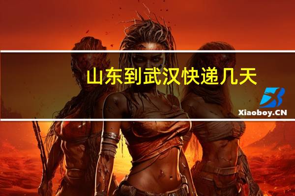 山东到武汉快递几天