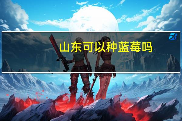 山东可以种蓝莓吗