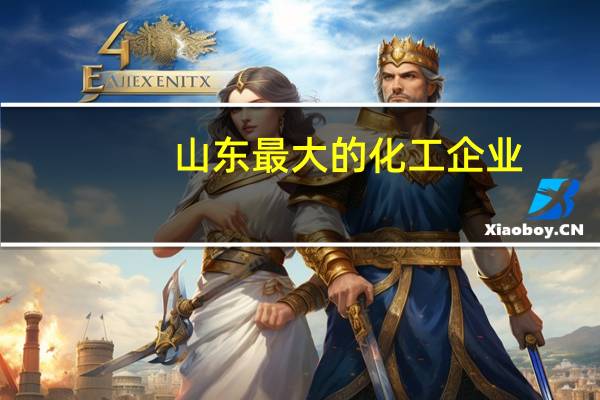 山东最大的化工企业
