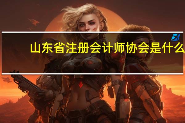 山东省注册会计师协会是什么