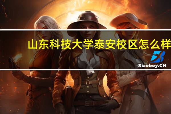 山东科技大学泰安校区怎么样?